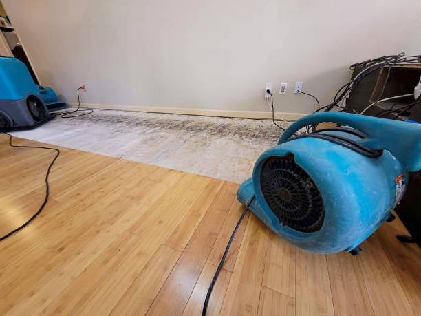 Professional Water Damage Repair technician working in Mohnton, PA